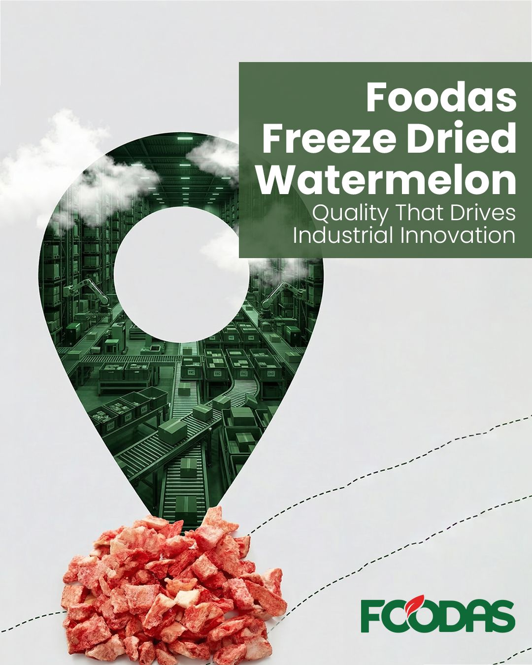 Foodas freeze-dried karpuz ve endüstriyel üretim kalitesini anlatan iletişim görseli